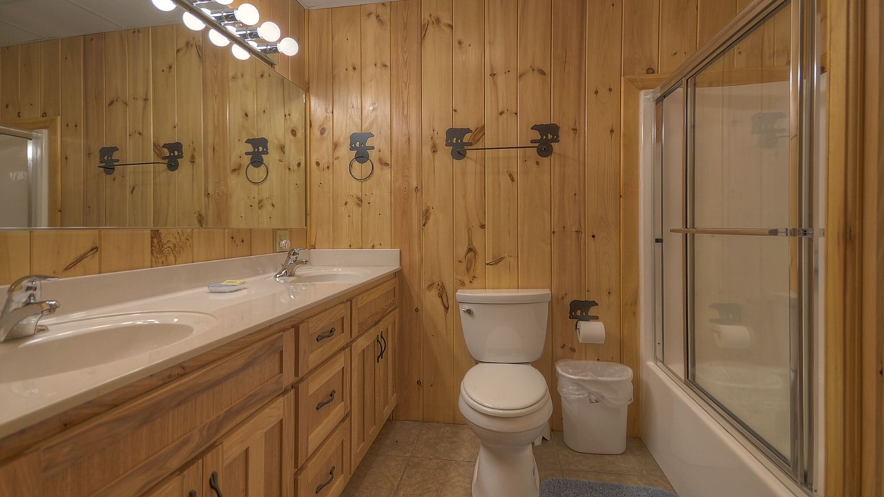 Photo of Bathroom in McCaysville