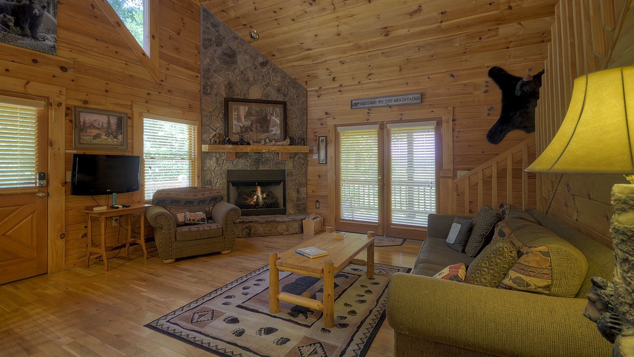 Photo of Livingroom in McCaysville