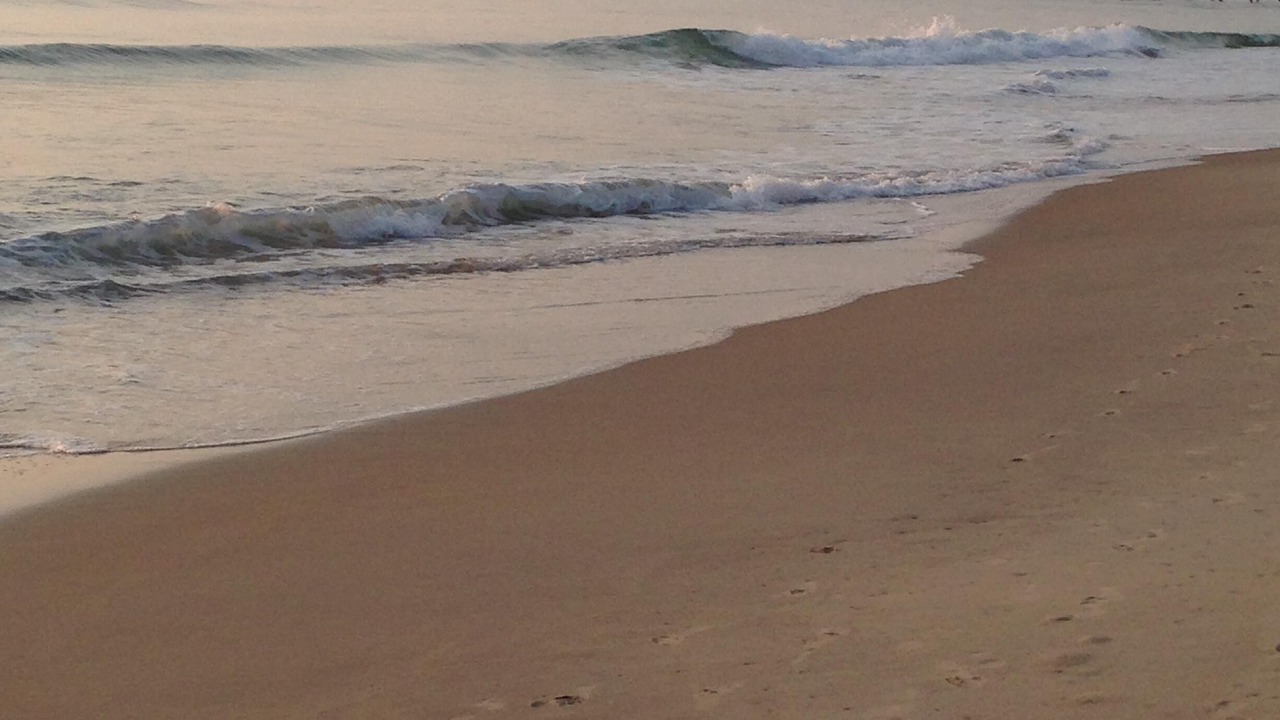 Photo of Others in Nags Head