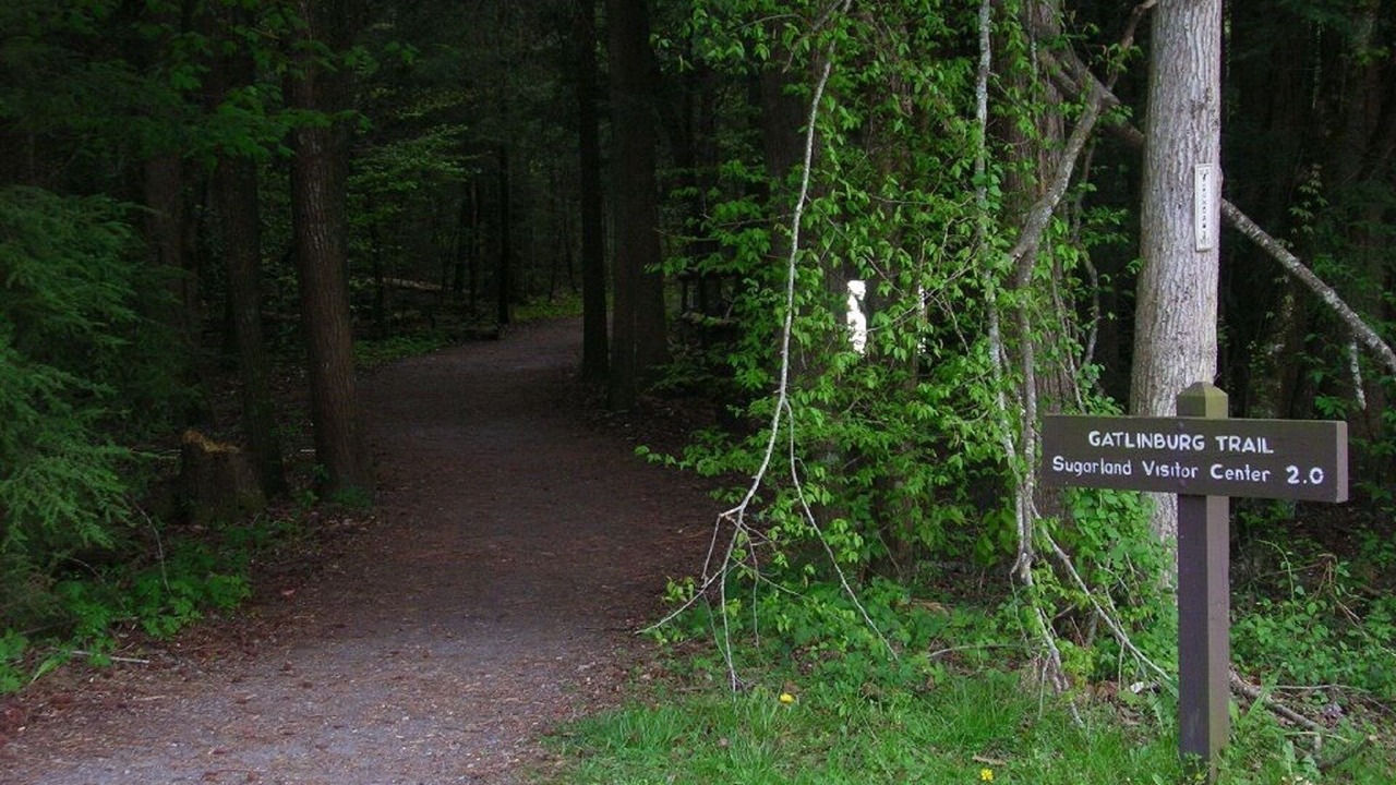 Photo of Outdoor in Gatlinburg