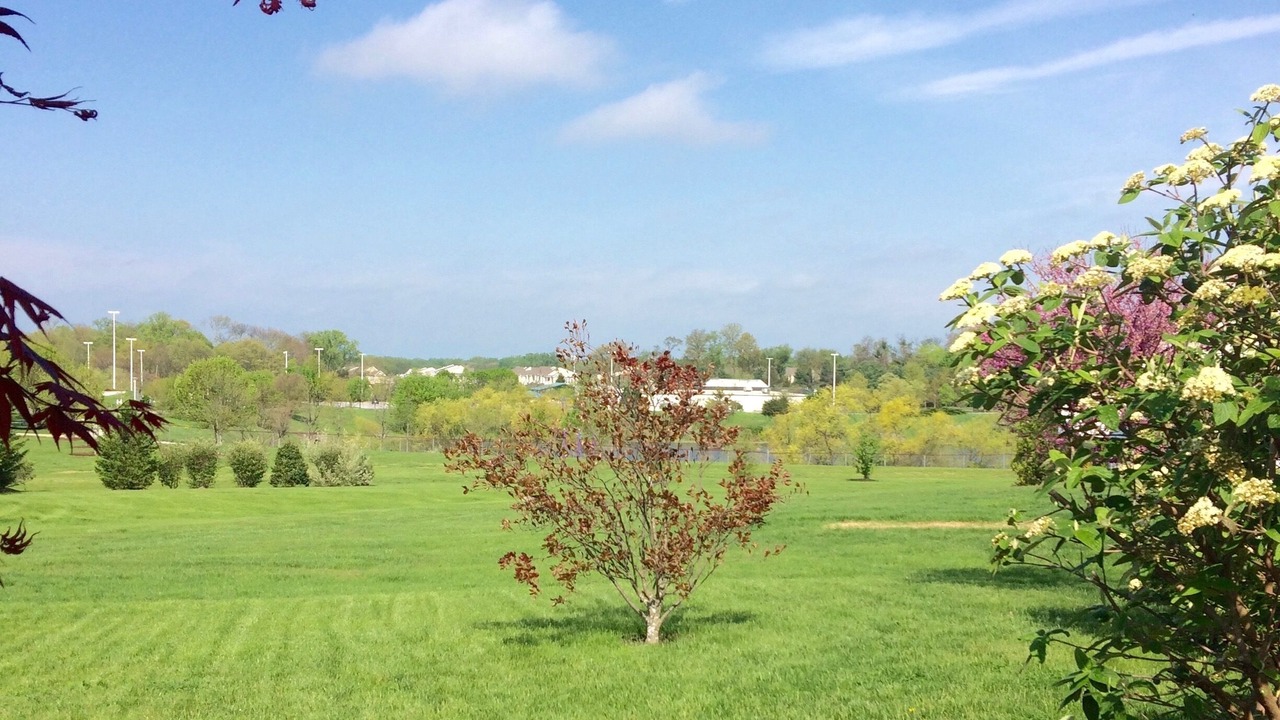 Photo of Outdoor in Centreville