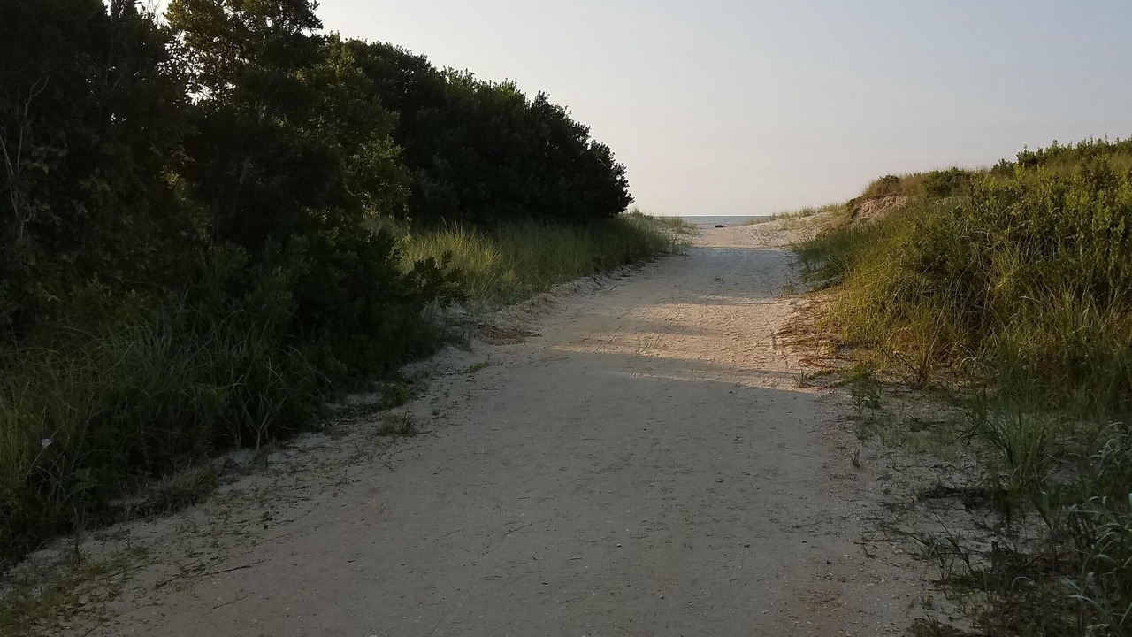 Photo of Others in Brigantine