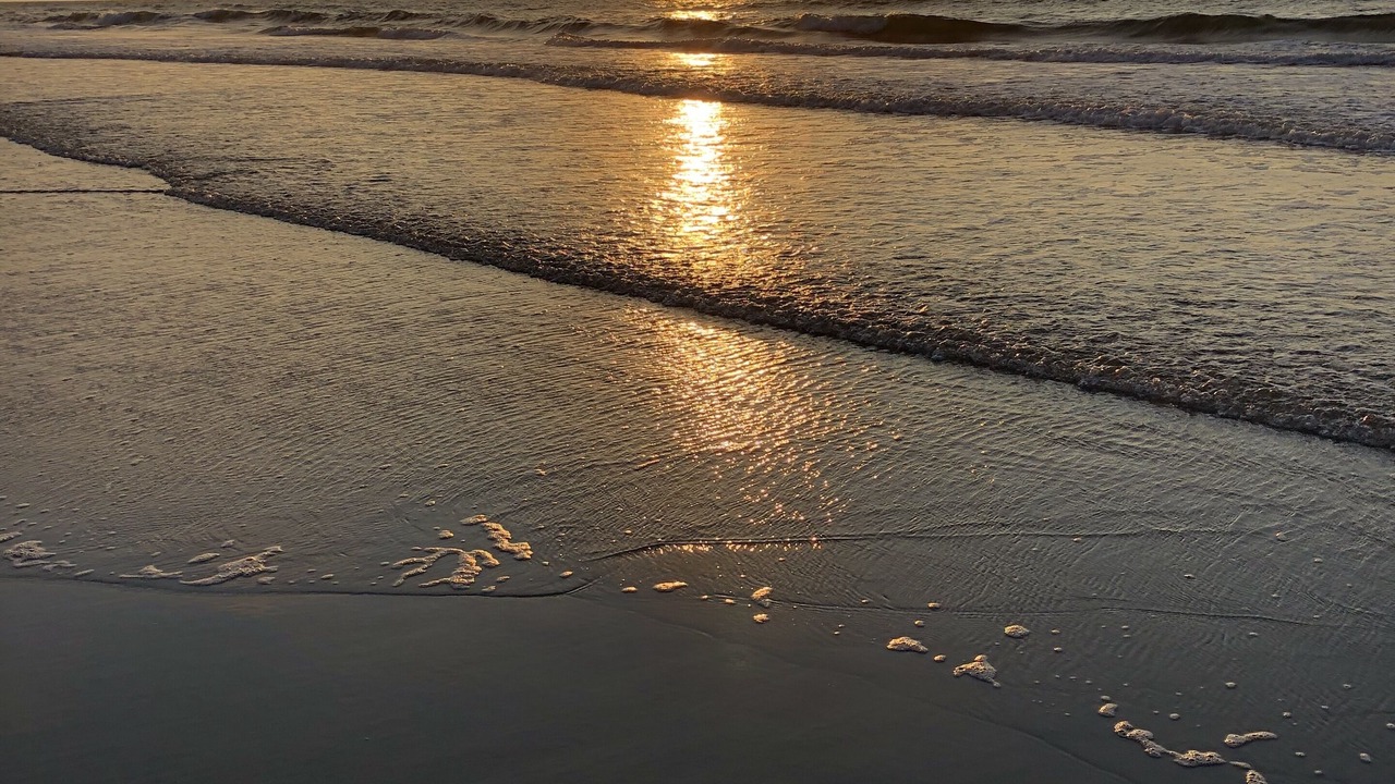 Photo of Others in Brigantine