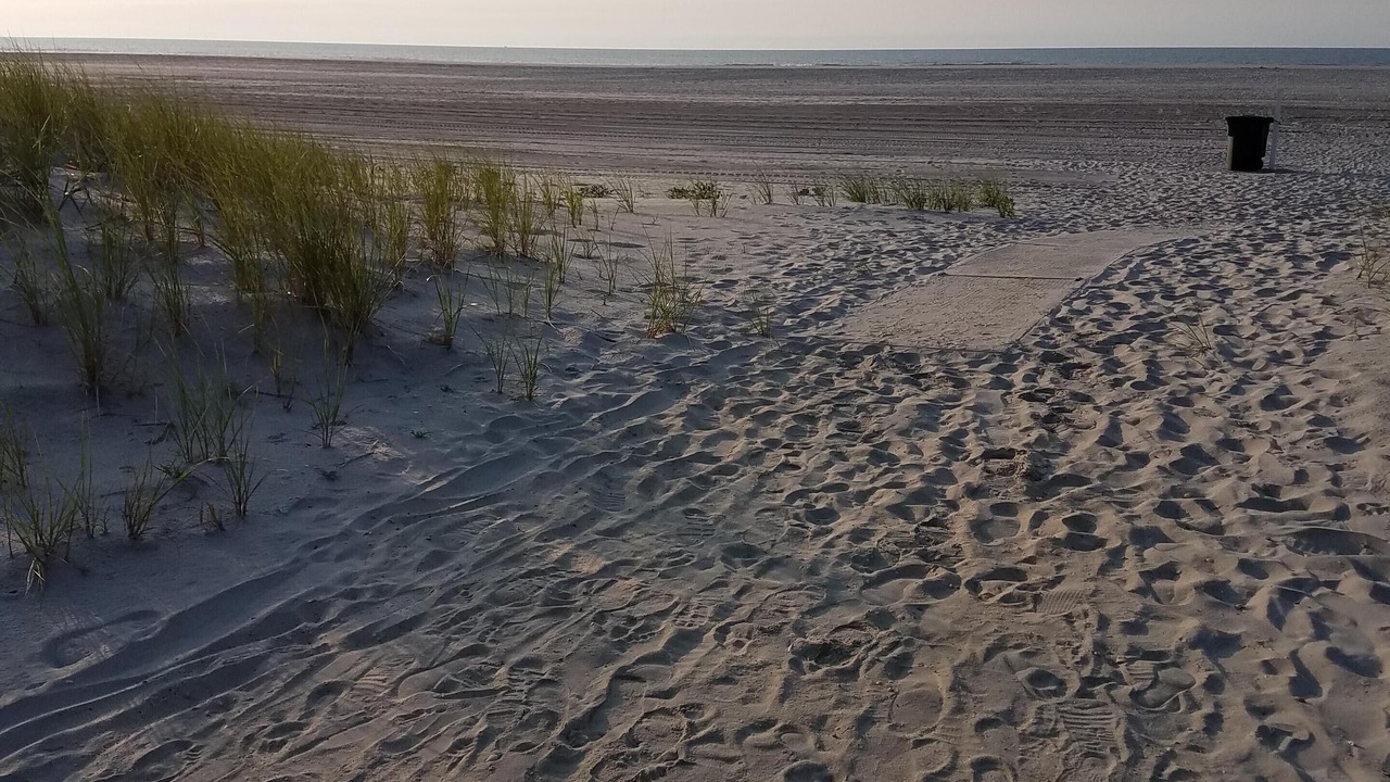 Photo of Others in Brigantine