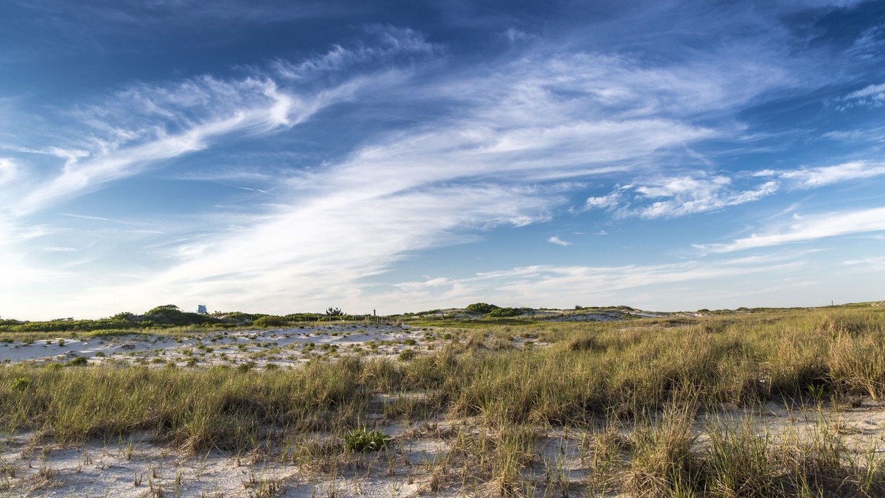 Photo of Others in Barnegat Light