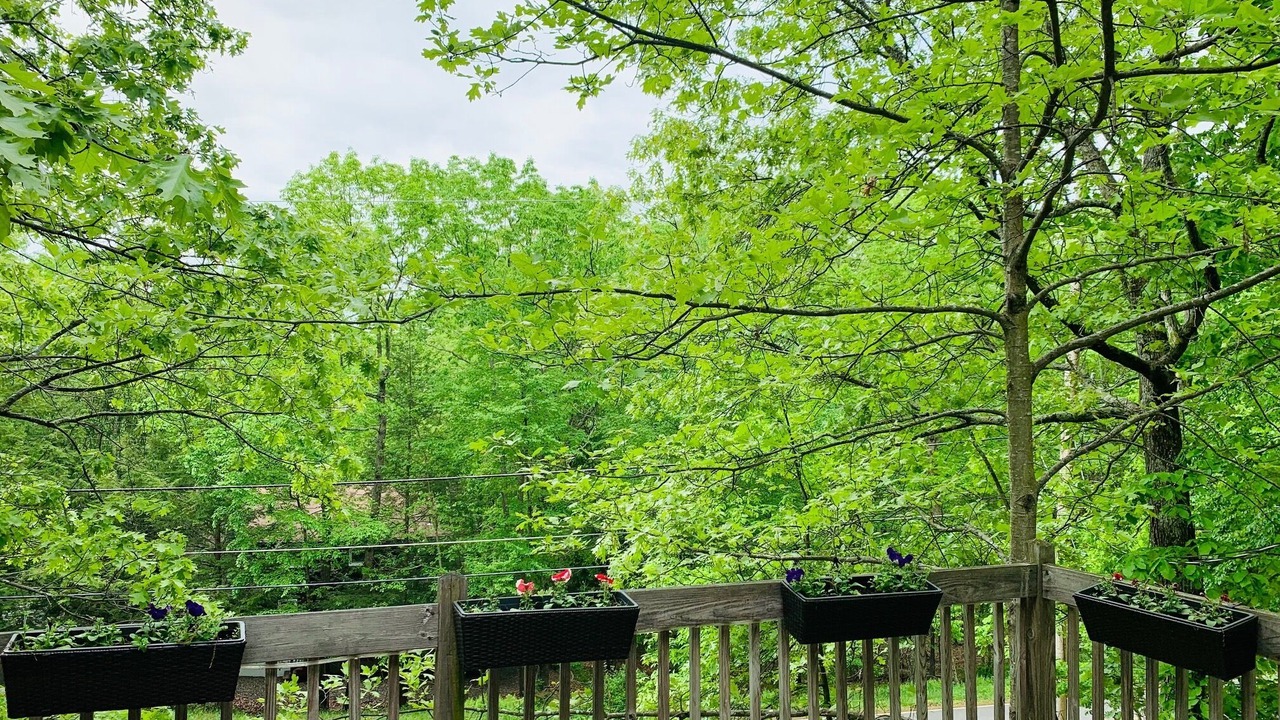 Photo of Outdoor in Bushkill