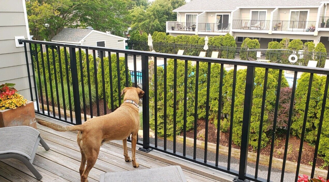 Photo of Outdoor in Country Club Estates