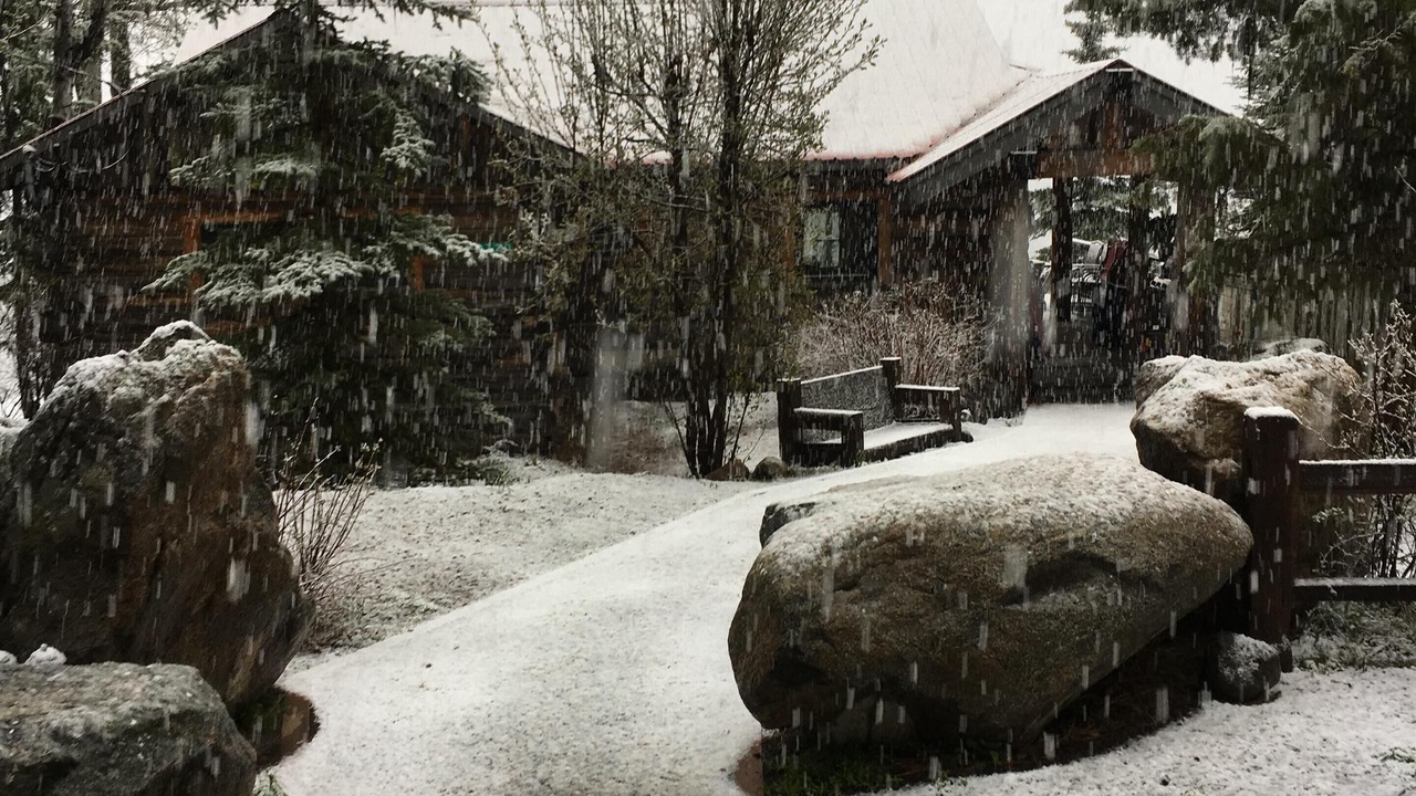 Photo of Others in McCall