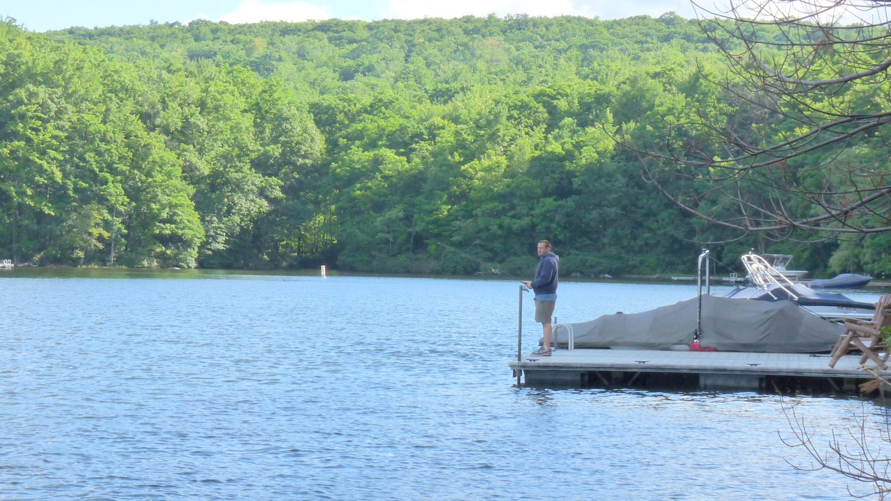 Photo of Outdoor in Penelacres