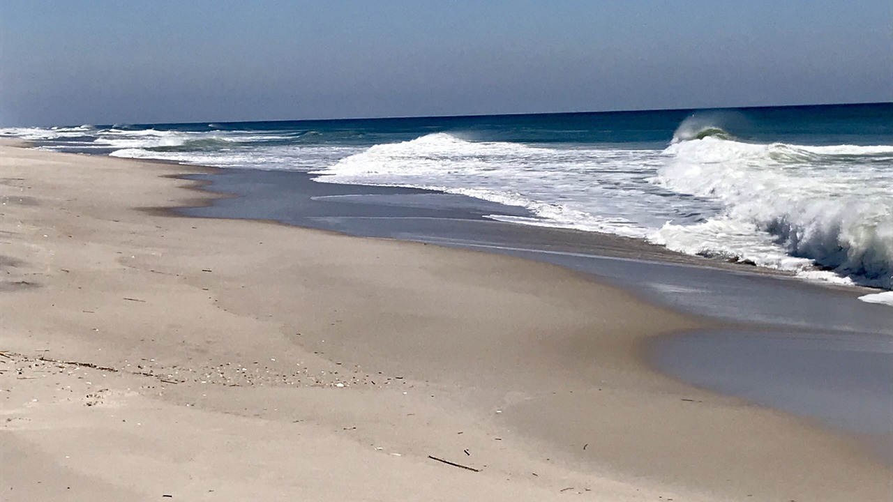 Photo of Others in Dover Beaches North