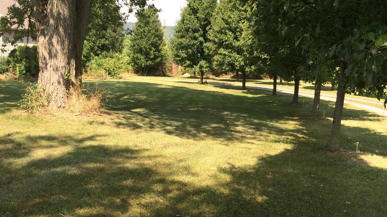 Photo of Outdoor in Dillsburg