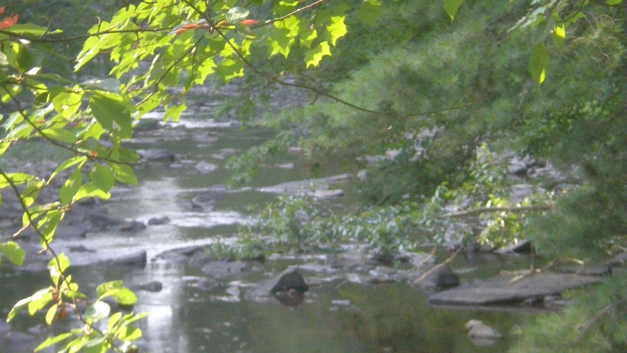 Photo of Others in Berkeley Springs