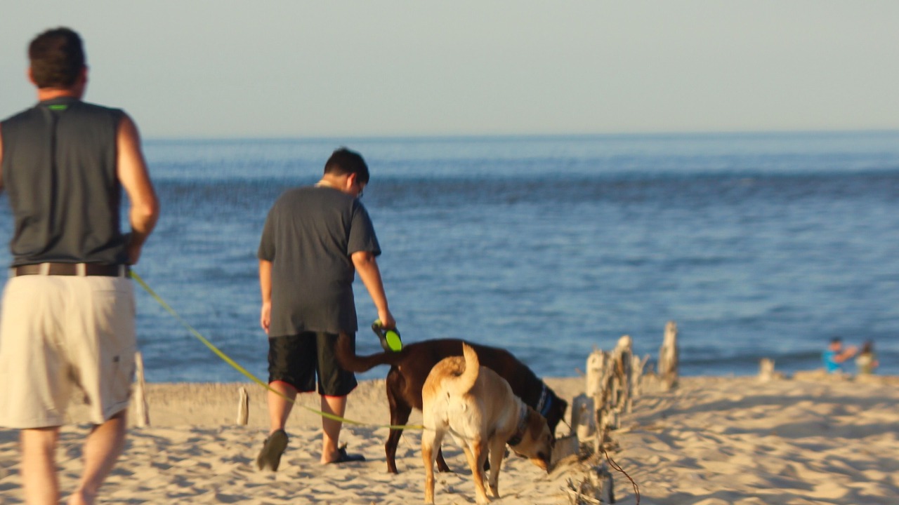 Photo of Others in Rehoboth Beach