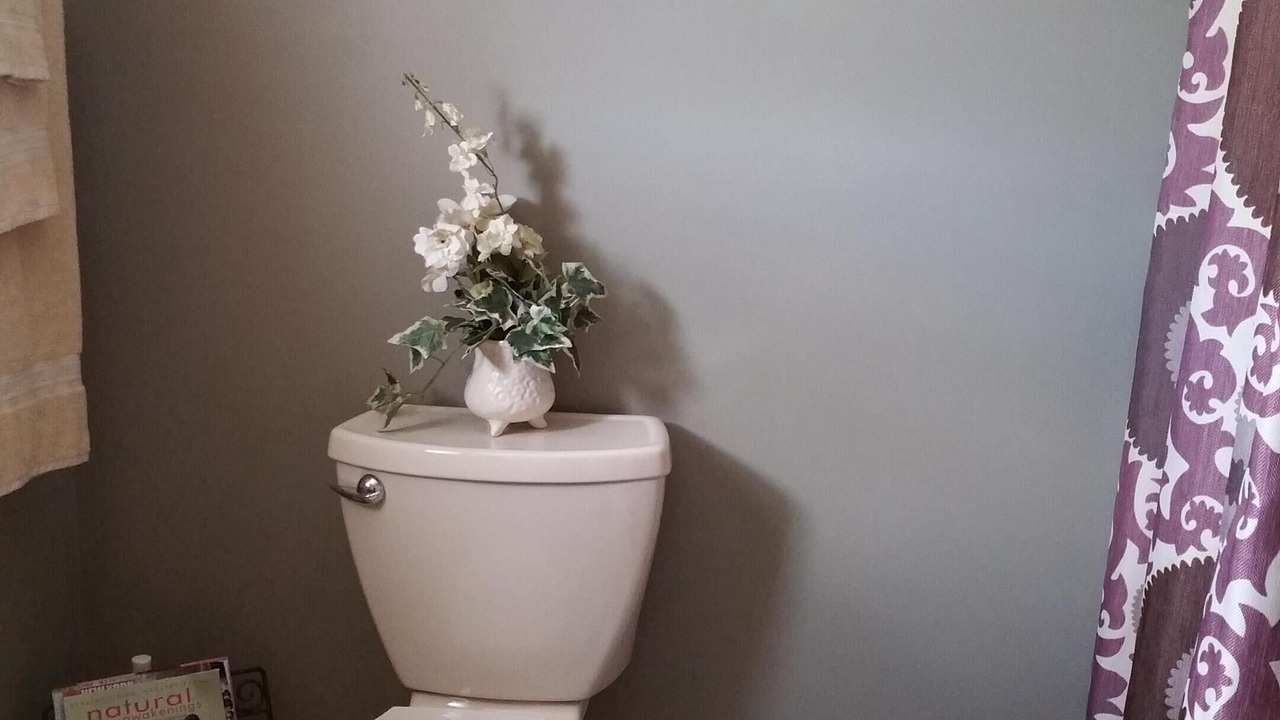 Photo of Bathroom in Shawanese