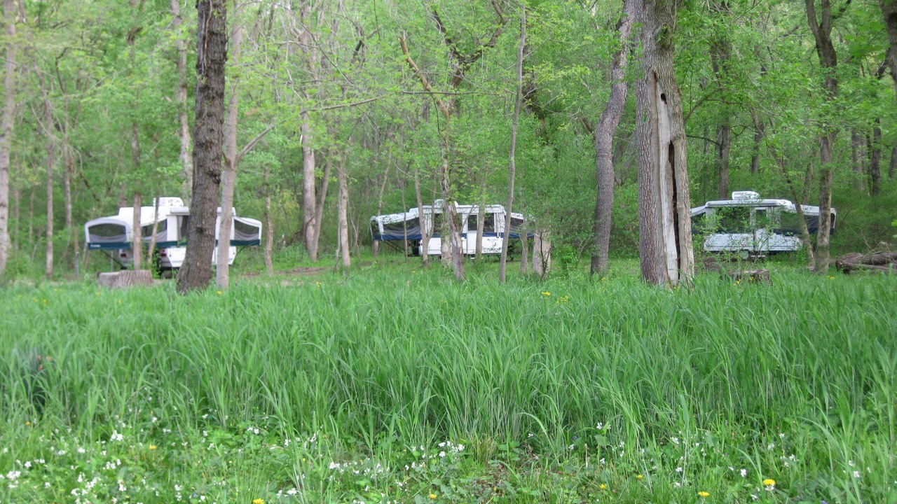 Photo of Others in Great Cacapon