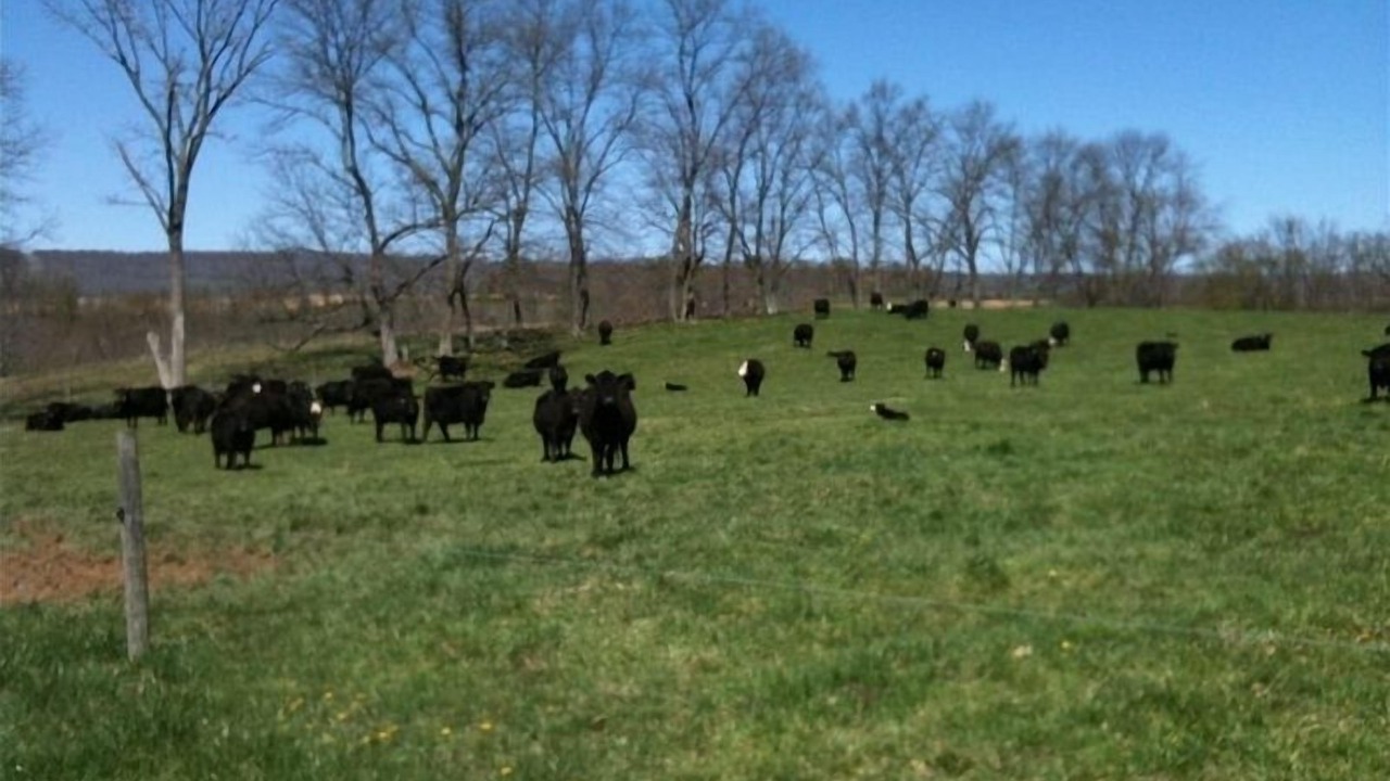 Photo of Others in Harrisonville