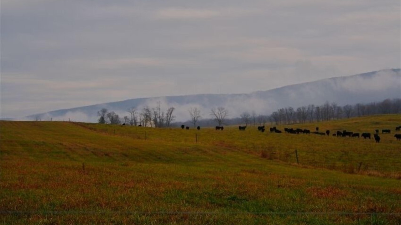 Photo of Outdoor in Harrisonville