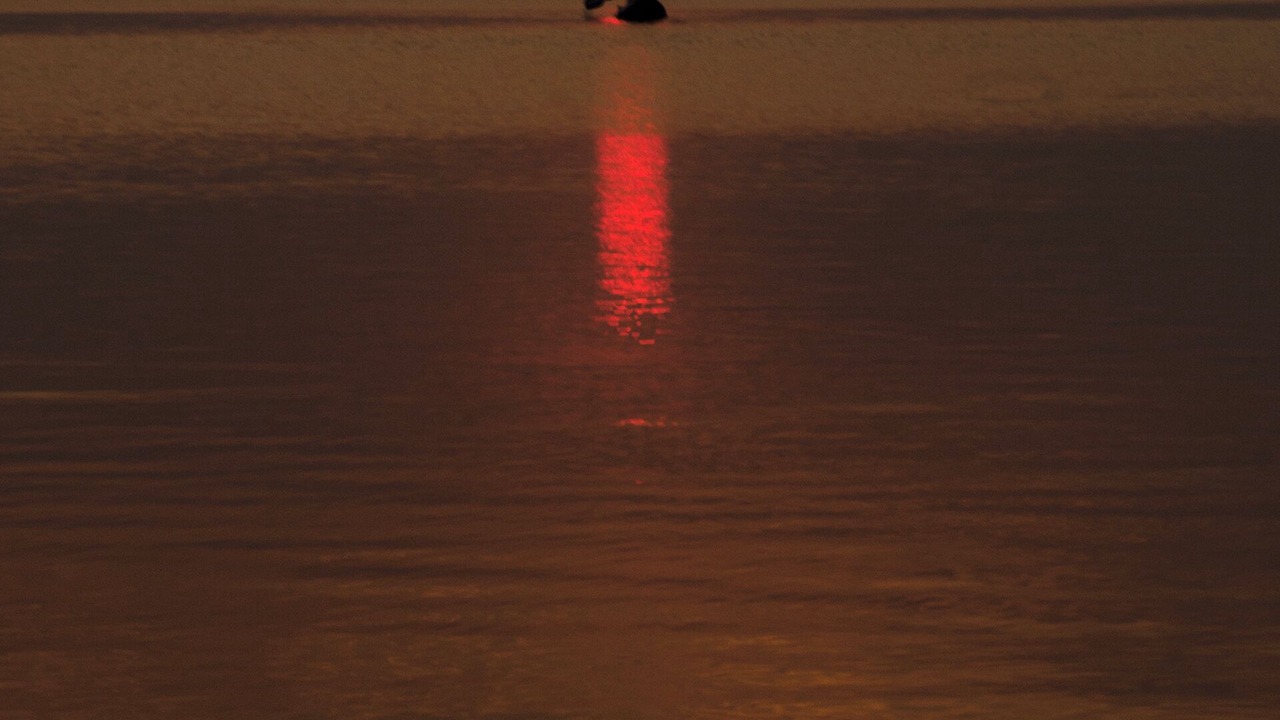 Photo of Others in Point Pleasant - Toms River