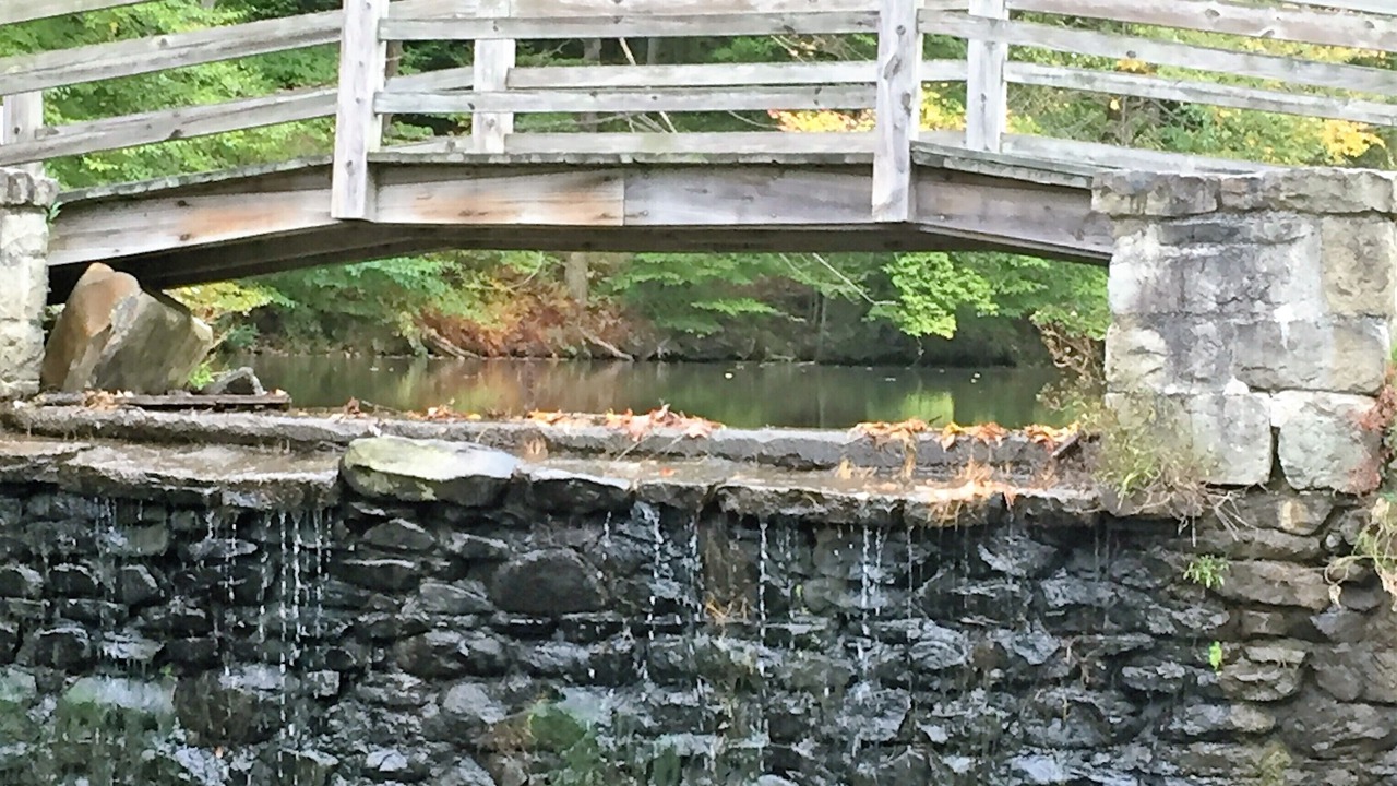 Photo of Outdoor in Seven Springs