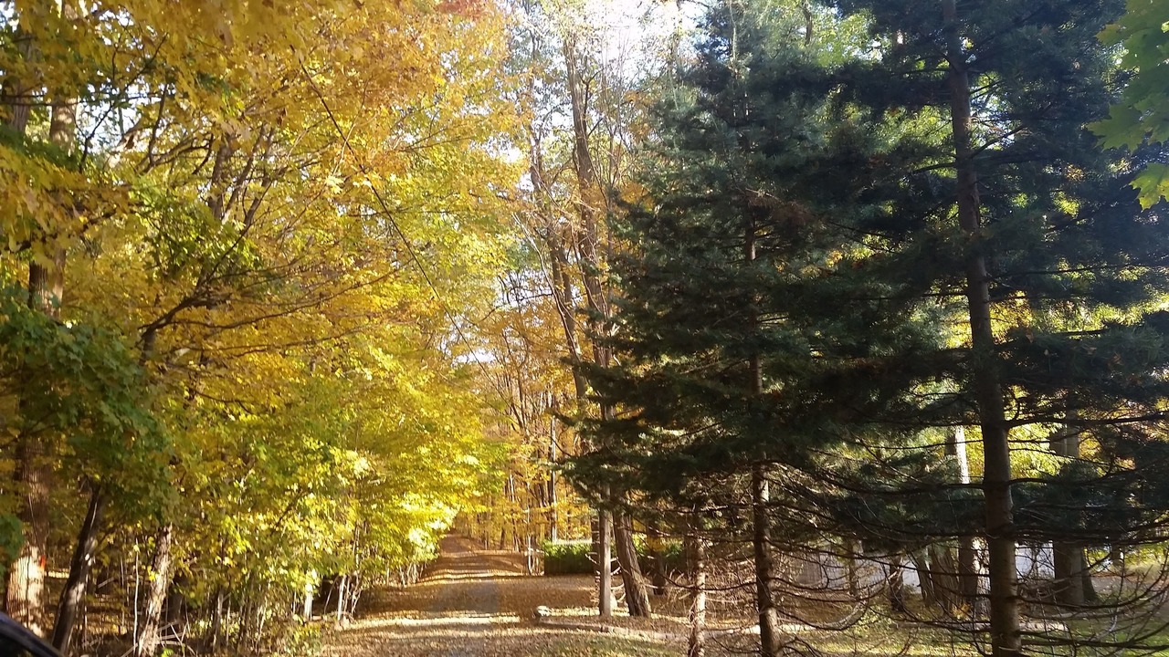 Photo of Outdoor in Skaneateles