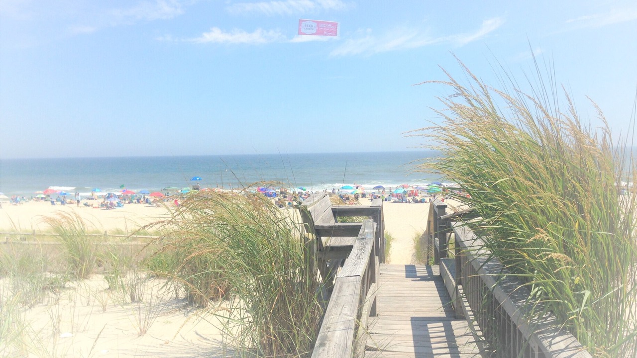 Photo of Others in Surf City