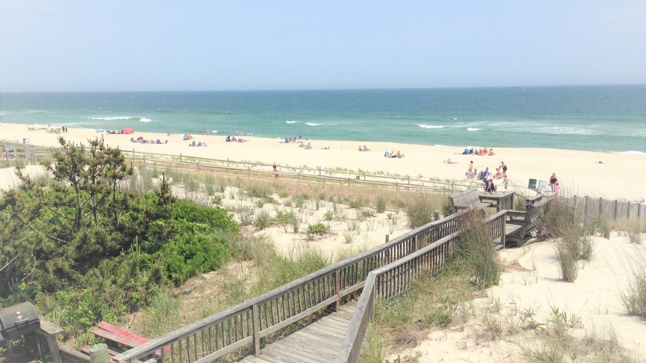 Photo of Others in Surf City