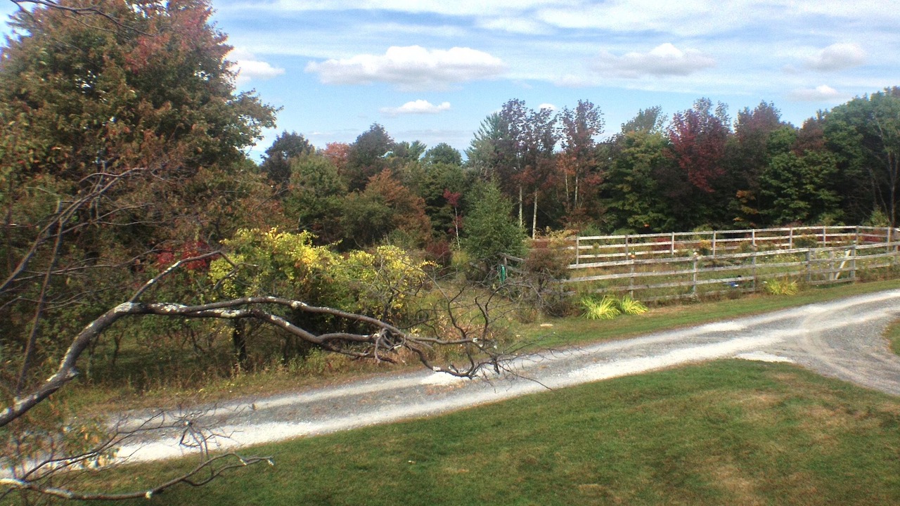 Photo of Outdoor in Cragsmoor