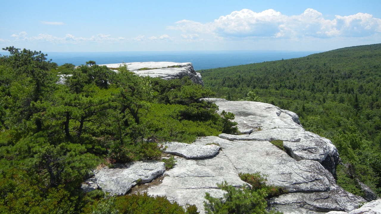 Photo of Others in Cragsmoor