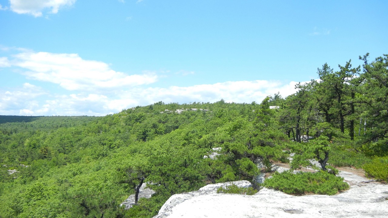 Photo of Outdoor in Cragsmoor