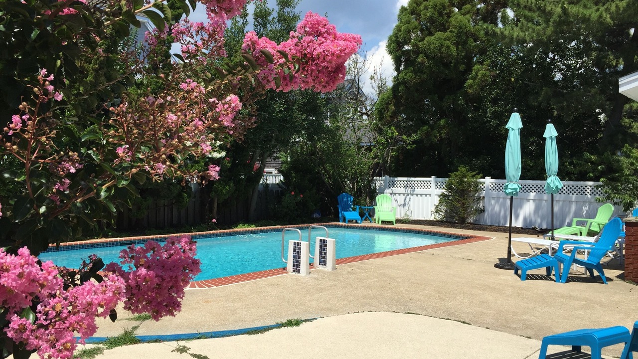 Photo of Outdoor in Gardens