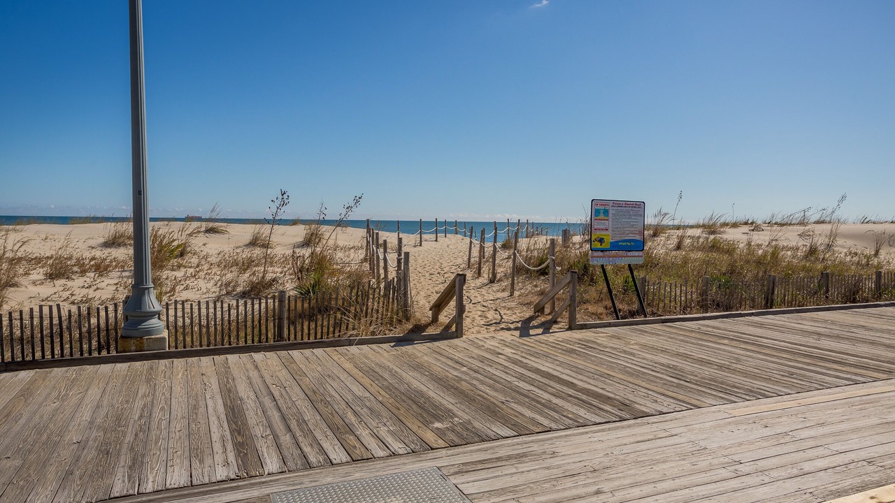 Photo of Others in South Rehoboth