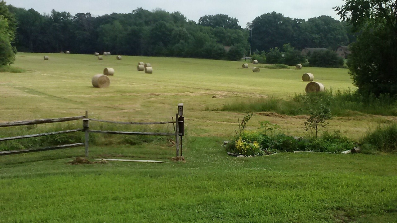 Photo of Others in New Wilmington