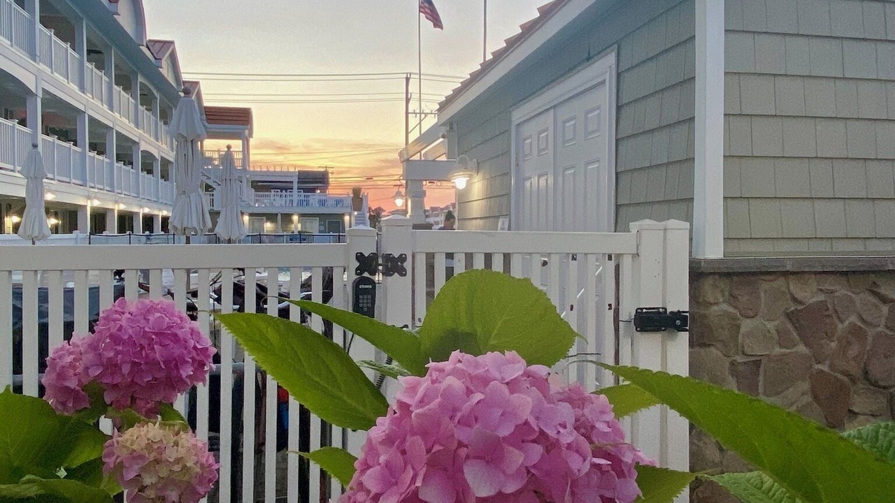 Photo of Outdoor in Avalon