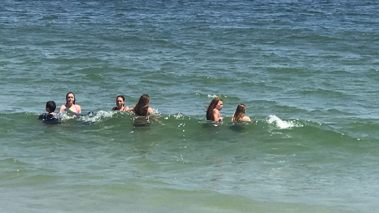 Photo of Others in Ortley Beach
