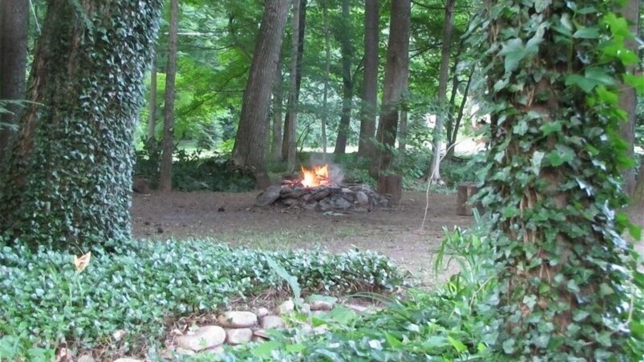 Photo of Others in Elkins