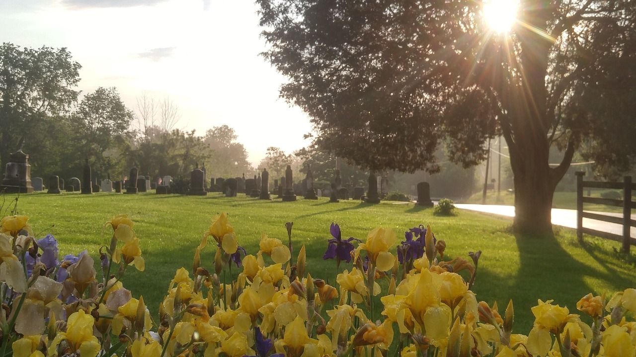 Photo of Outdoor in Spring Mills