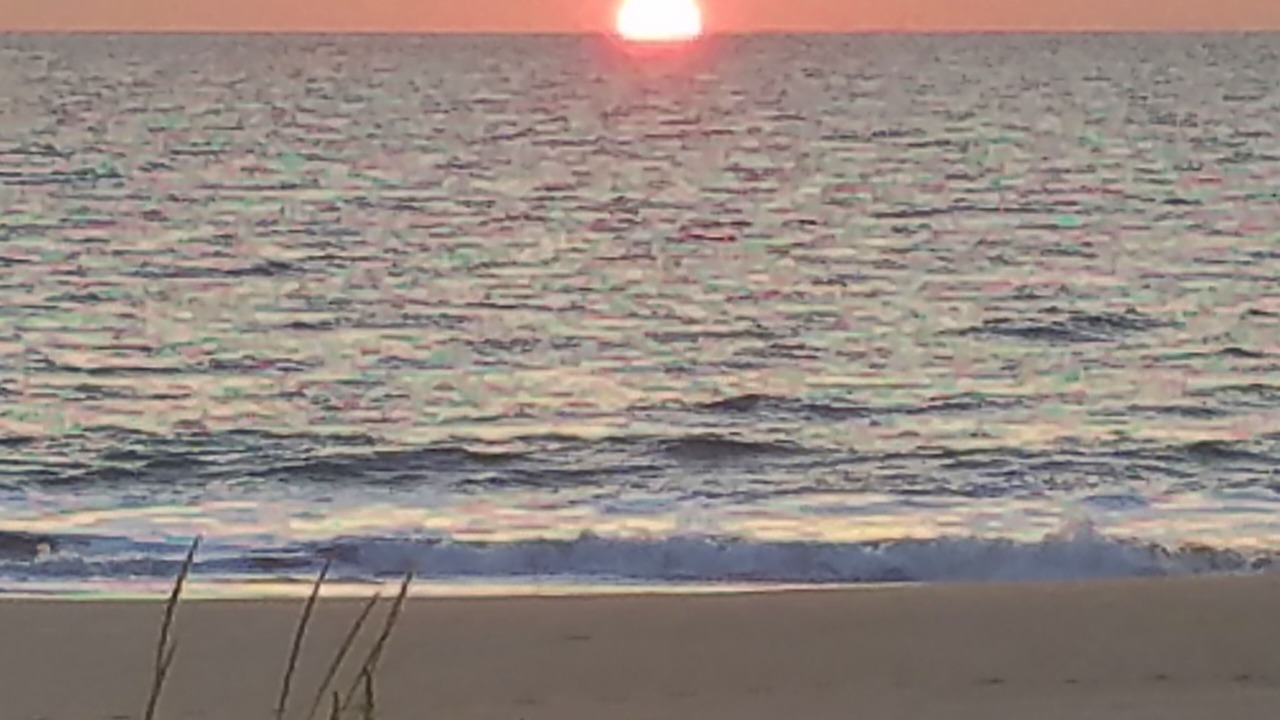 Photo of Others in North Shores