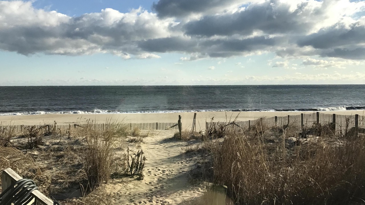 Photo of Others in North Shores