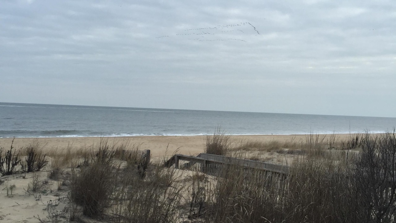 Photo of Others in North Shores