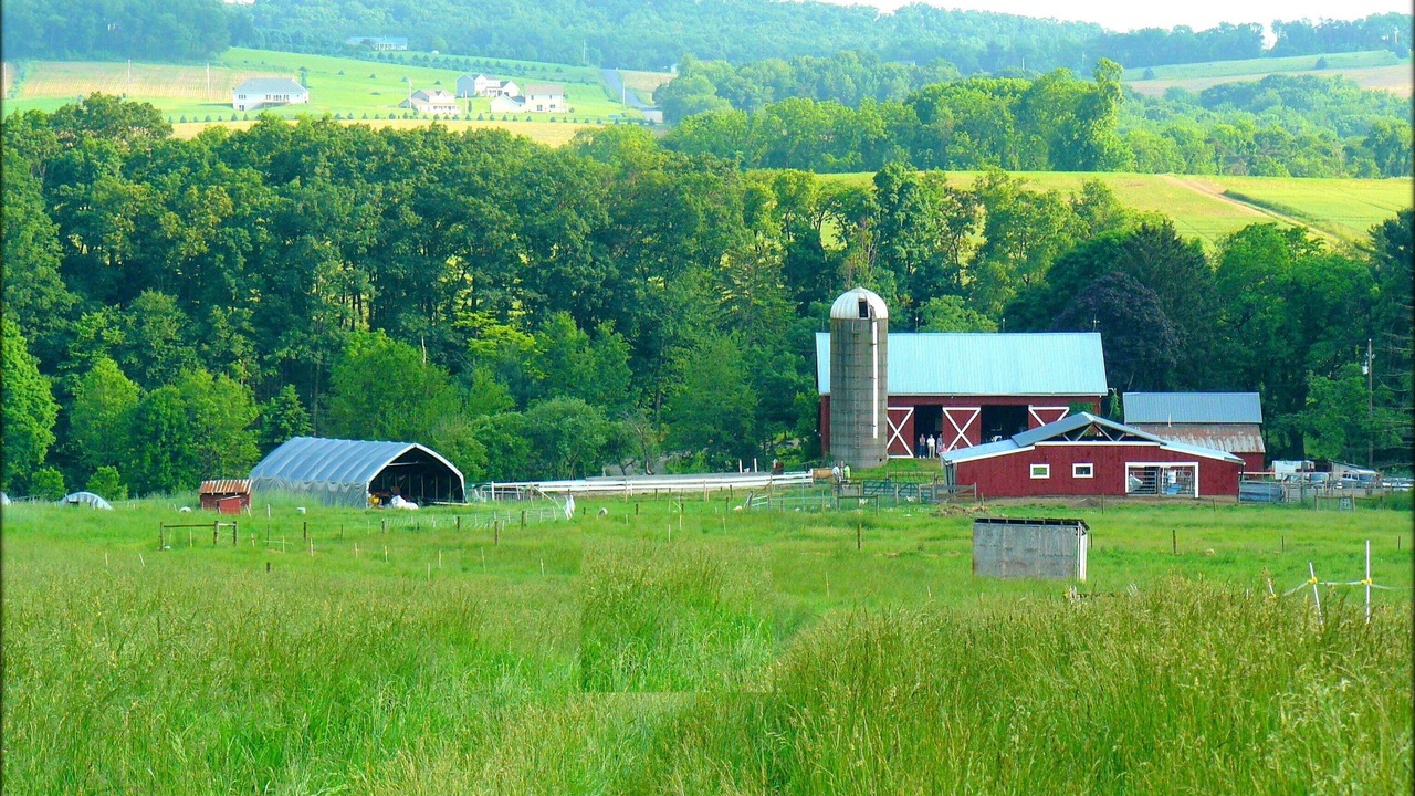 Photo of Others in Sunbury