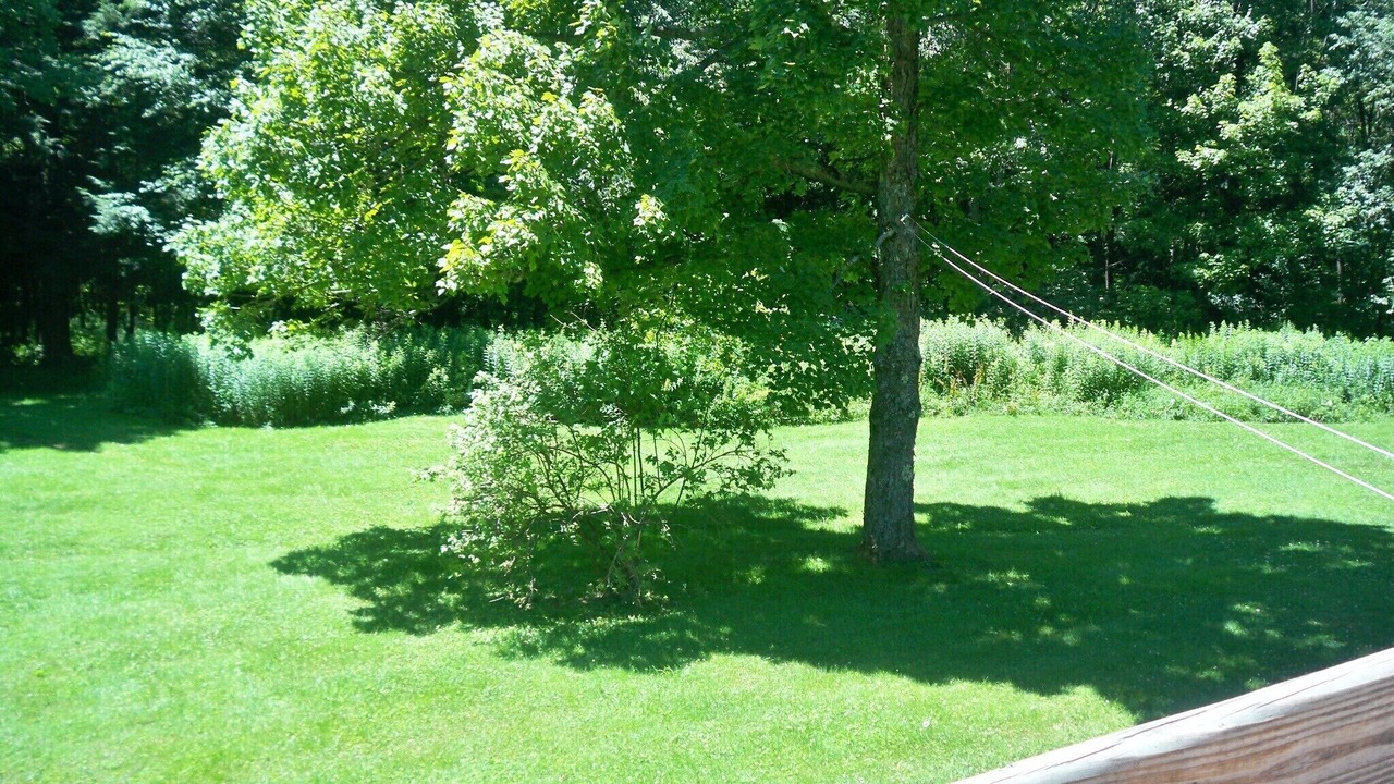 Photo of Others in Mill Run