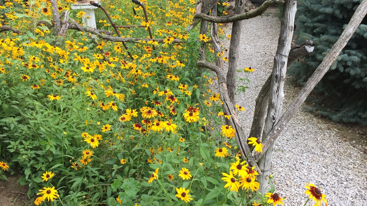 Photo of Outdoor in Bellevue