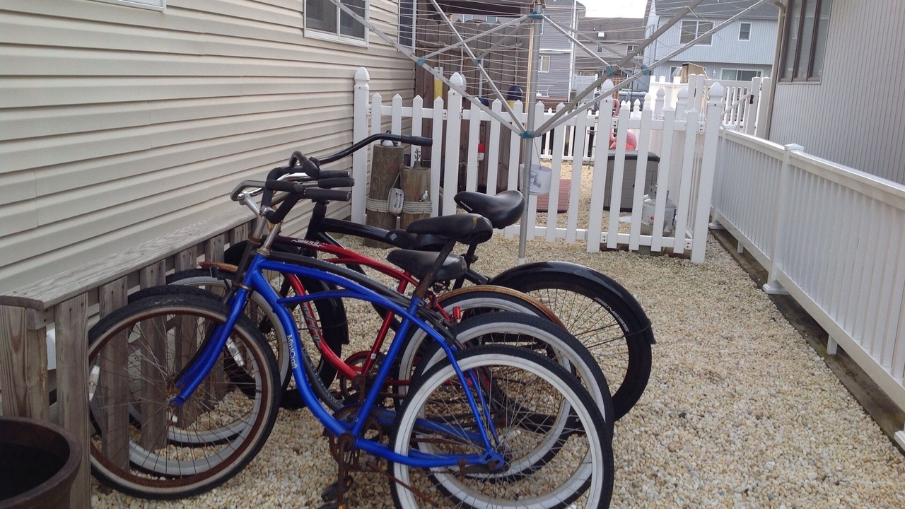 Photo of Others in Lavallette