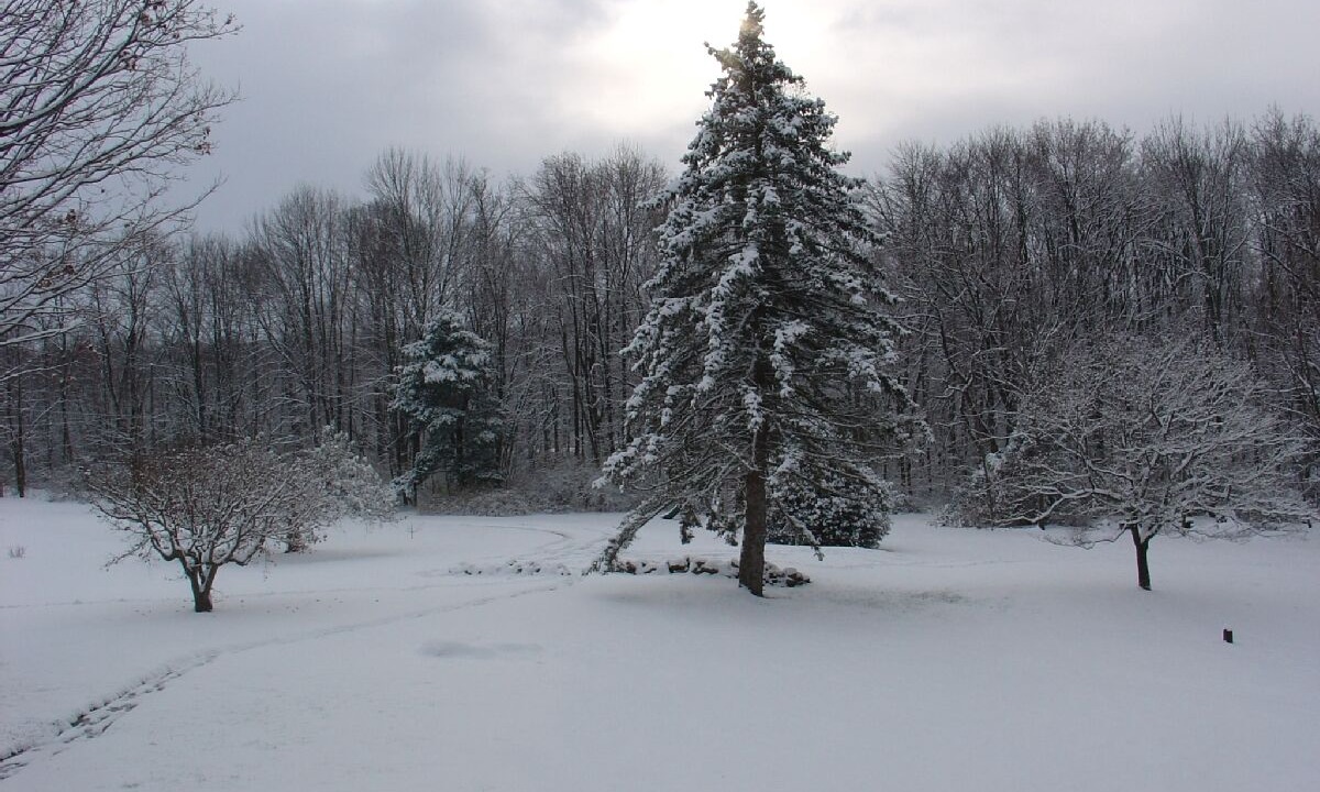 Photo of Outdoor in Narvon