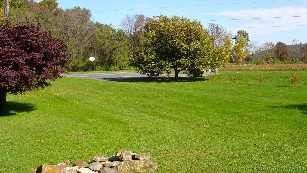 Photo of Others in Narvon