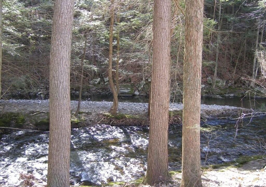 Photo of Outdoor in Sweet Valley