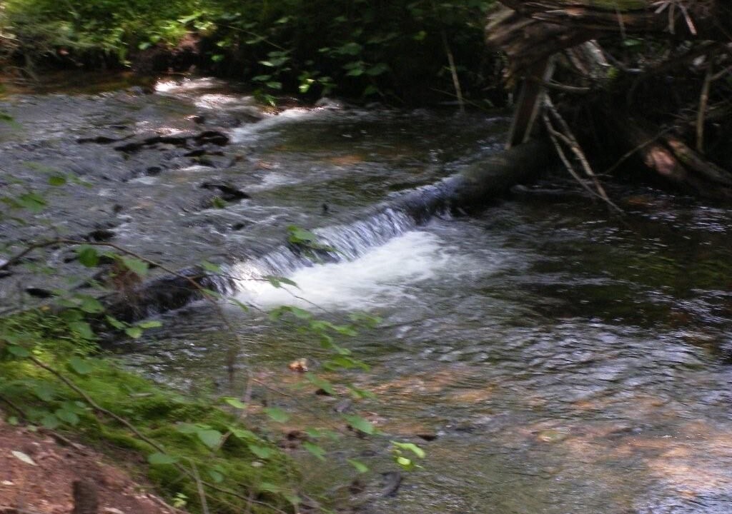 Photo of Outdoor in Sweet Valley