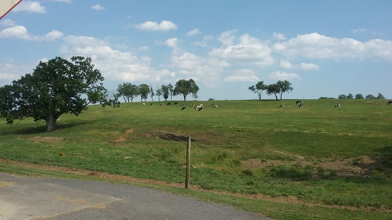 Photo of Others in Ronks