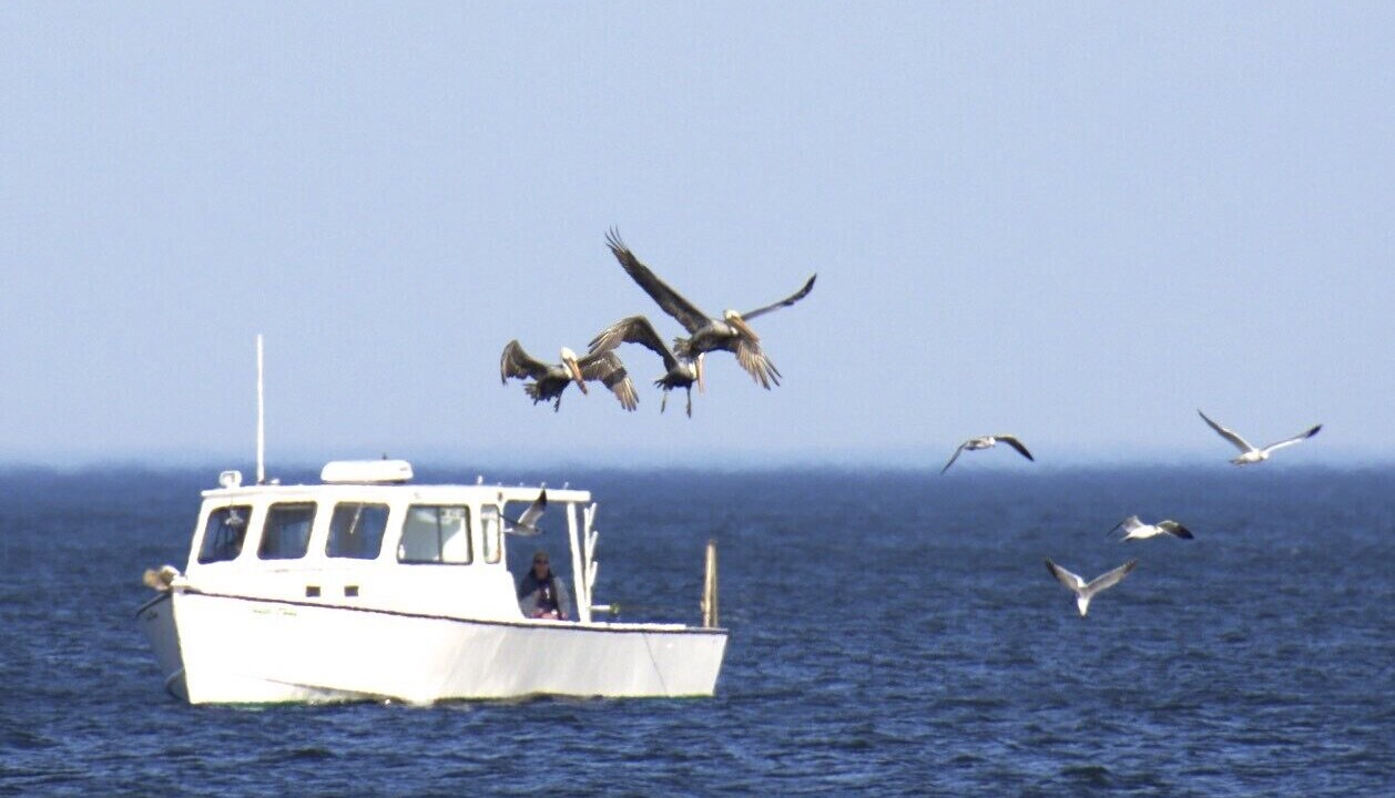Photo of Others in Calvert Beach-Long Beach