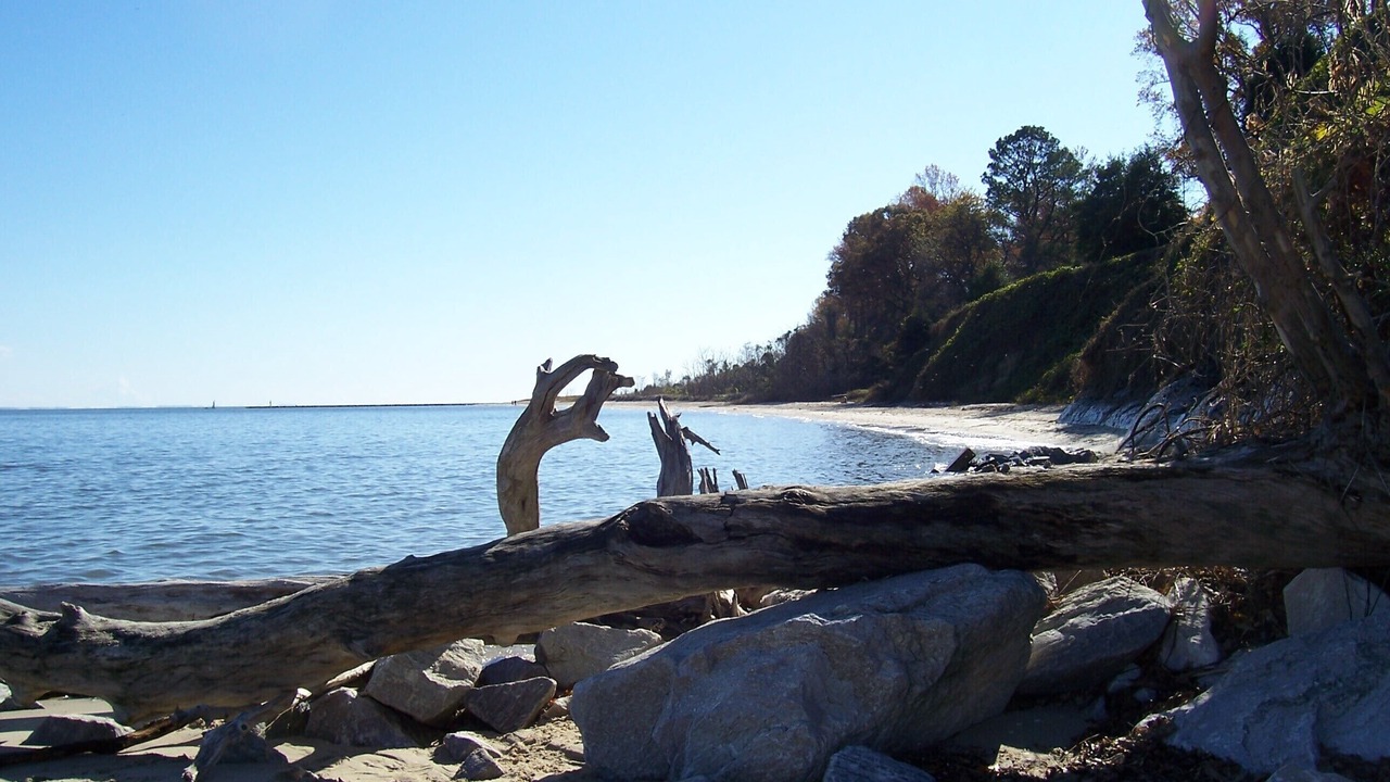 Photo of Others in Calvert Beach-Long Beach